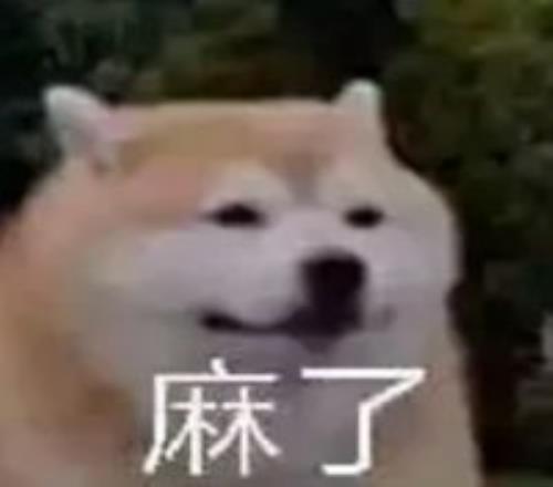 贝宁能否在,这场对抗中,一箭封喉,世界杯赛事,2026世界杯,赛事安排,比赛信息,举办城市
