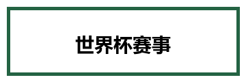 世界杯赛事